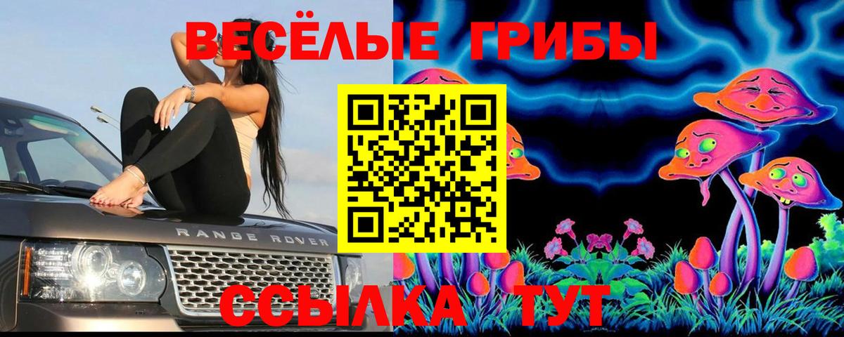 где продают наркотики  Галлюциногенные грибы GOLDEN TEACHER  Вход с VPN  Псилоцибиновые грибы прущие грибы  Магадан 