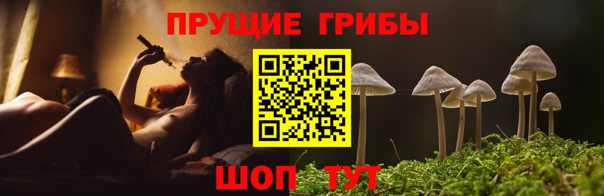 Псилоцибиновые грибы прущие грибы Магадан
